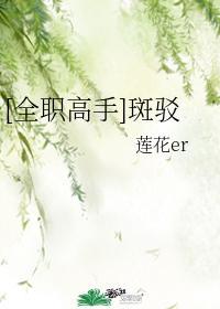 [全职高手]斑驳