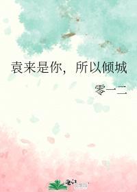 袁来是你，所以倾城