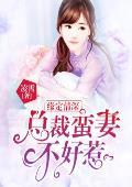 缘定情深：总裁蛮妻不好惹
