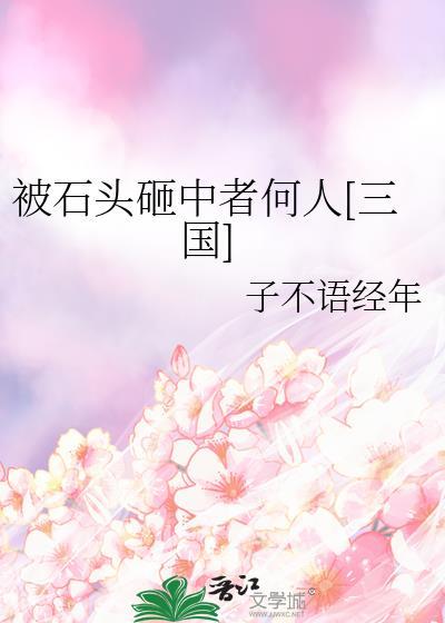 被石头砸中者何人[三国]
