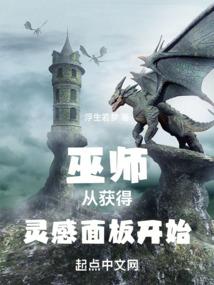 gog领巫师1