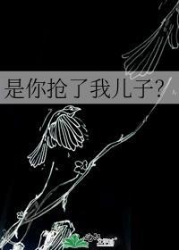 是你抢了我儿子？