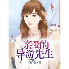 亲爱的导游先生
