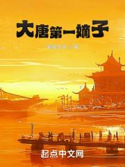 大唐第一嫡子