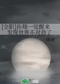 [全职]孙翔一觉醒来发现世界不对劲了