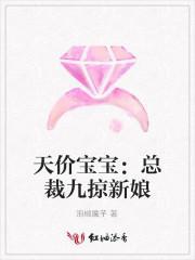 天价宝宝：总裁九掠新娘
