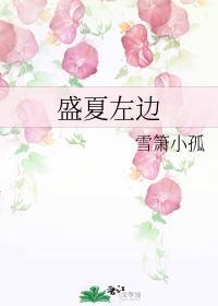 盛夏左边