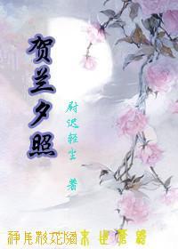 贺兰夕照