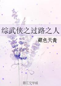 综武侠之过路之人