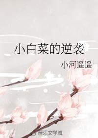 小白菜的逆袭