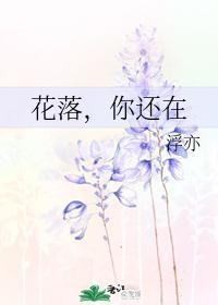 花落，你还在