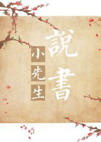 小先生说书