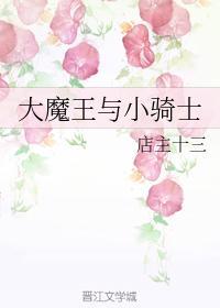 大魔王与小骑士
