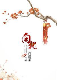 向北的遗憾