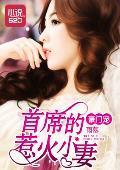 豪门宠：首席的惹火小妻