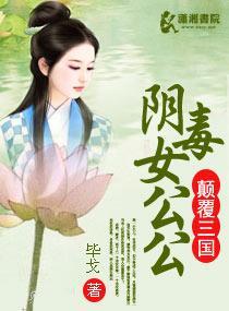 颠覆三国之阴毒女公公