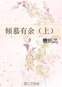 倾慕有余