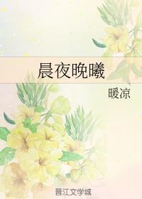 晨夜晚曦