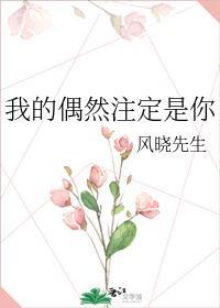我的偶然註定是你