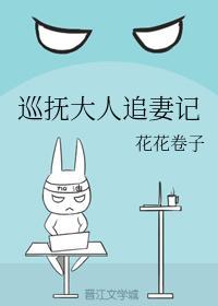 巡抚大人追妻记