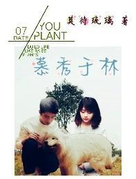 慕秀于林