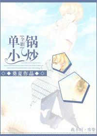 [全职]单锅小炒