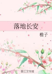 落地长安