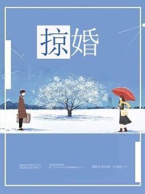 掠婚