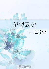 望似云边