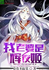 我老婆是辉夜姬存在不寂寞