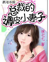 总裁的调皮小妻子