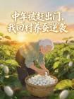 中年被赶出门,我回村养蚕逆袭