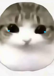 恋爱时长限额？这破爱爱谁谁！