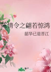 陈情令之翩若惊鸿