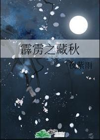 霹雳之藏秋