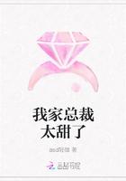 我家总裁太甜了