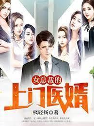 女总裁的上门医婿